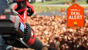 Lowe’s Early Labor Day Sale Slashes Leaf Blower Prices Up to 60% Off: The Ultimate Guide to the Season’s Best Deals