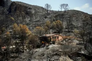 The Burning Edge: How Algeria’s Wildfires and the 2026 Global Fire Landscape Are Reshaping the Built Environment
